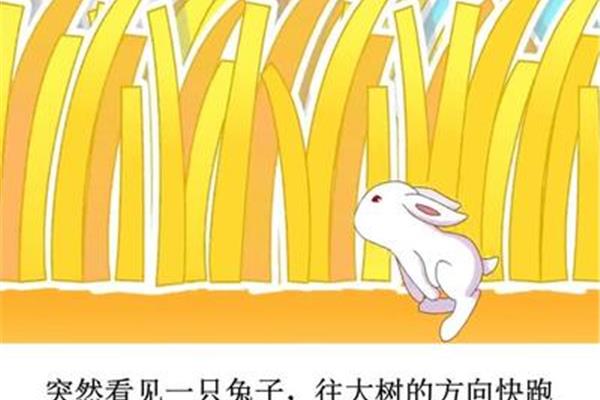 带兔的四字成语