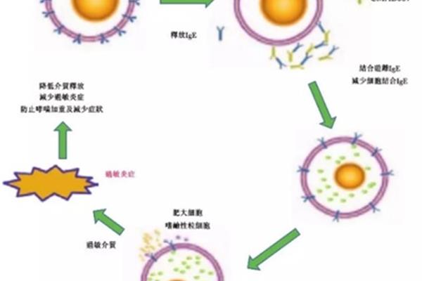 分子靶向治疗