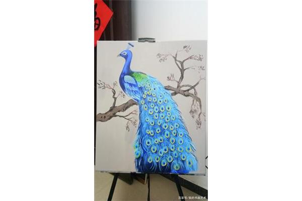 孔雀图片绘画
