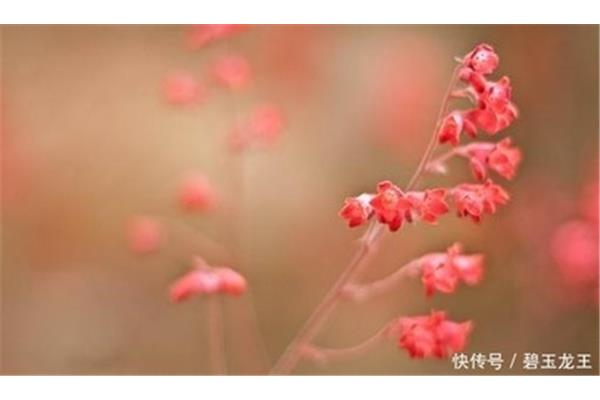 人生百味经典句子