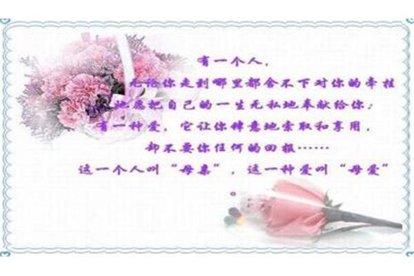 赞美母亲的词语