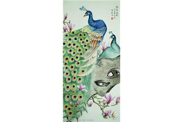 孔雀图片绘画