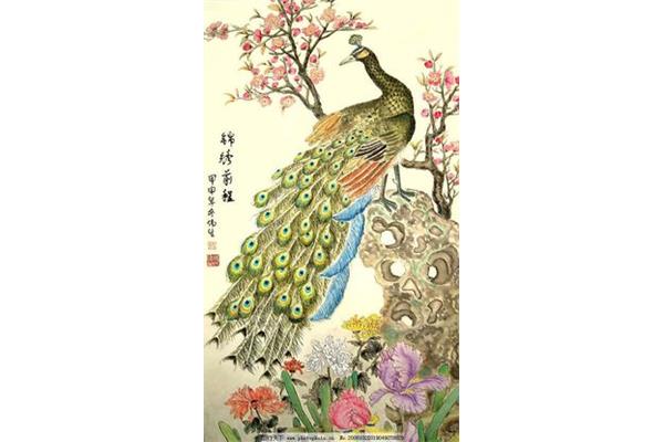 孔雀图片绘画