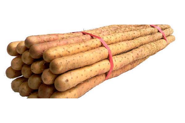 山药怕冻吗