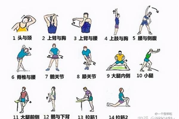 跑步前热身