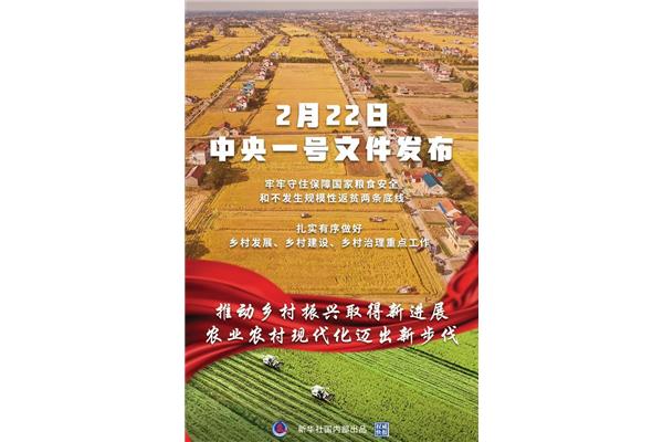 乡村振兴工作