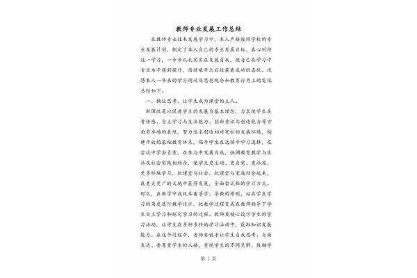 教师专业发展总结