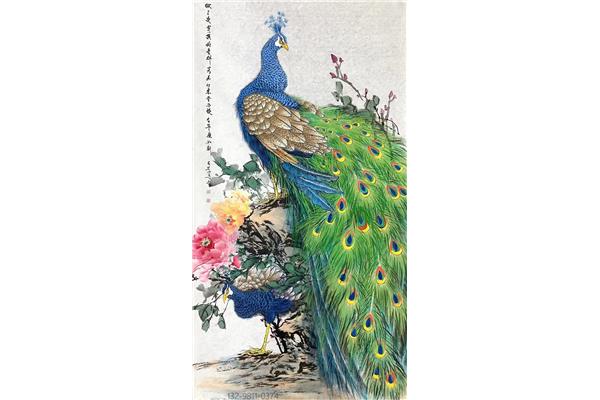 孔雀图片绘画