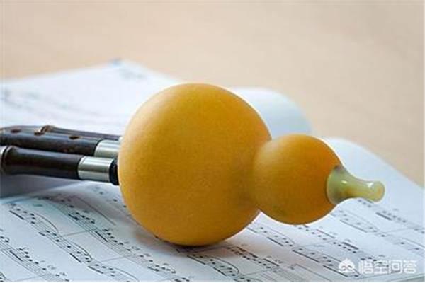什么乐器简单好学