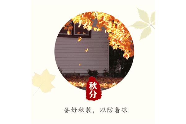 一叶知秋的诗句