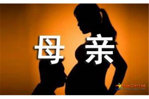 赞美母亲的词语