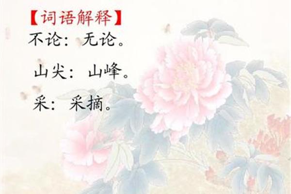 蜂古诗意思