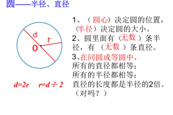 什么决定圆的大小