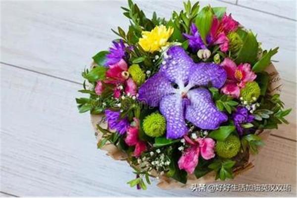 形容花的句子