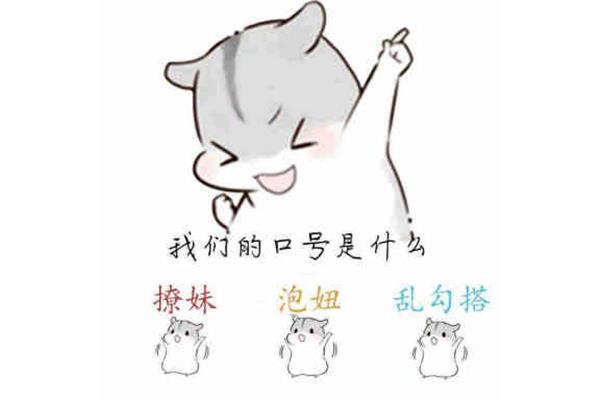 我们的口号是