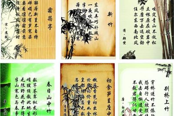 竹子的诗词