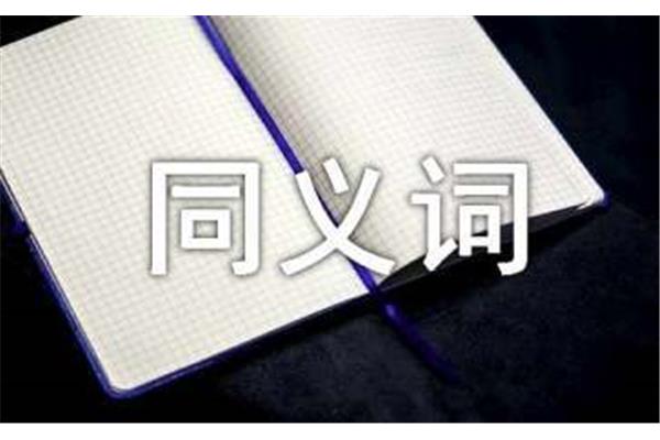 丢失的近义词