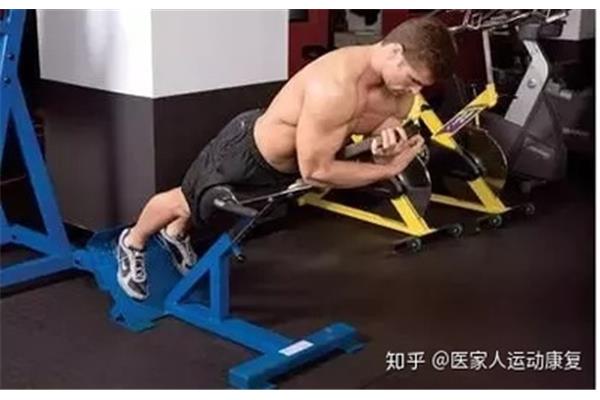 怎么锻炼腰部肌肉