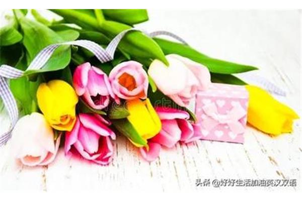 形容花的句子