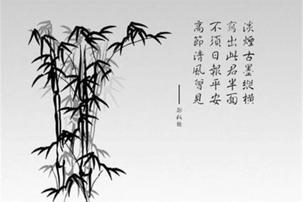 竹子的诗词