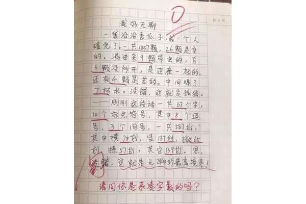 我懂了作文