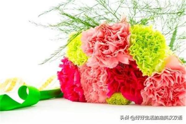形容花的句子