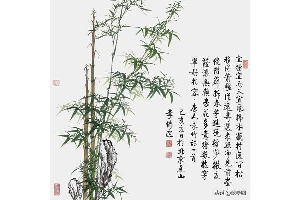竹子的诗词