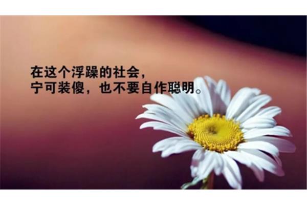 毅力的意思是