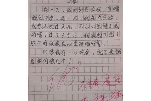 我懂了作文
