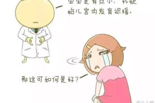 宫内发育迟缓