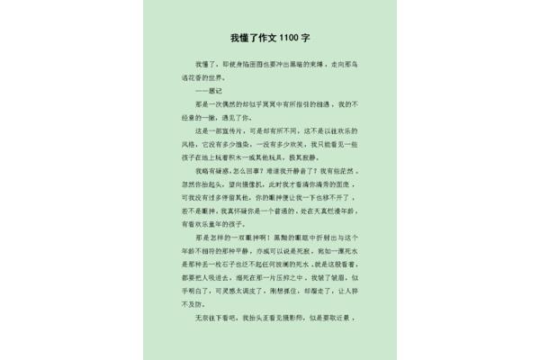 我懂了作文