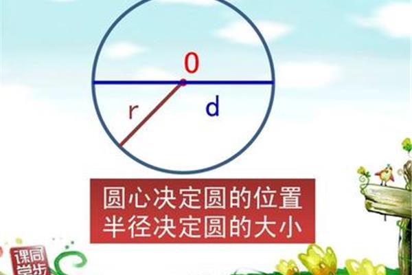 什么决定圆的大小