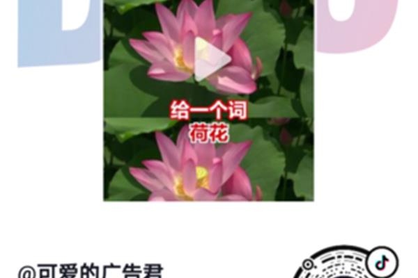 池塘的量词