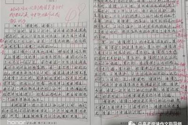 我懂了作文