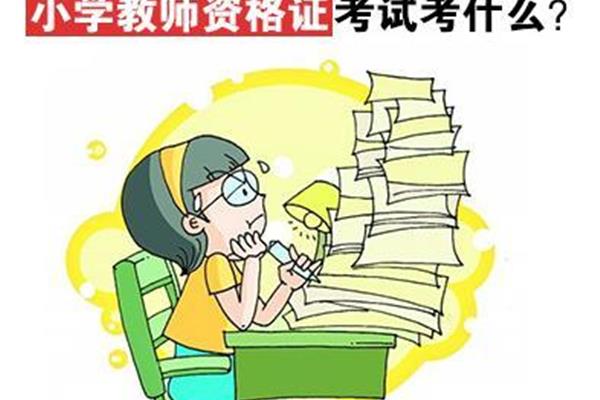 学考什么时候考