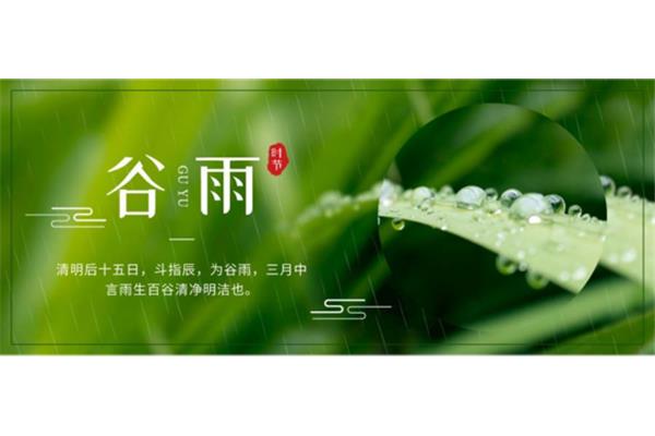 谷雨的谚语