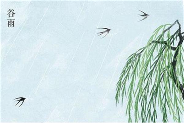 谷雨的谚语