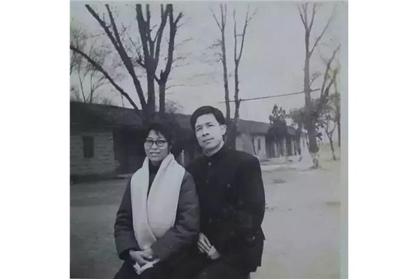 我的父亲和母亲