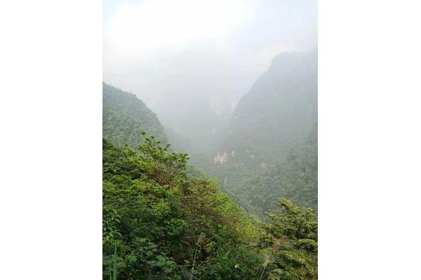 什么山什么野