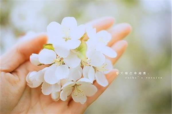 放弃也是一种美