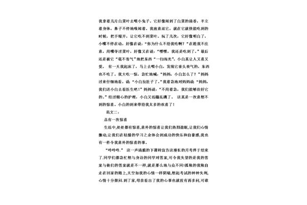 意外的惊喜作文