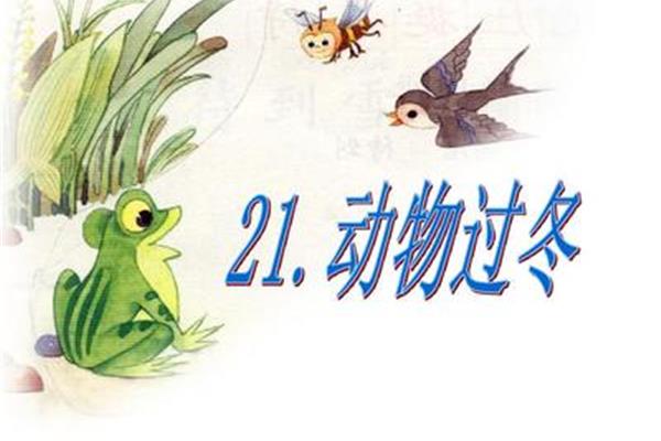 动物的过冬方式