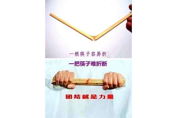 团结就是力量事例