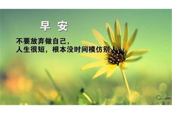 每日心语正能量