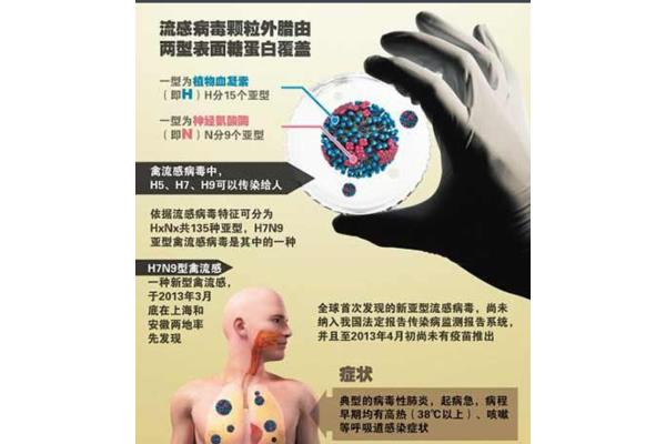 病毒感染怎么治