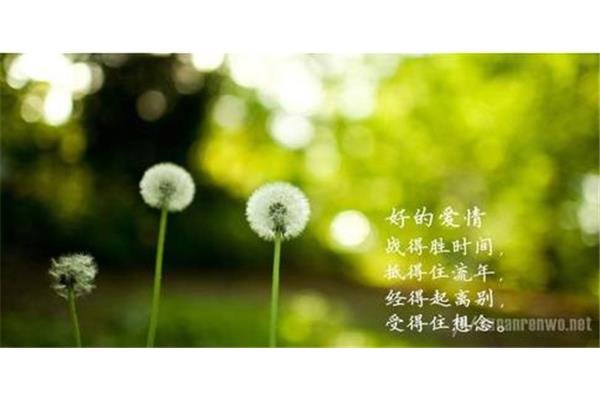 美文佳句摘抄