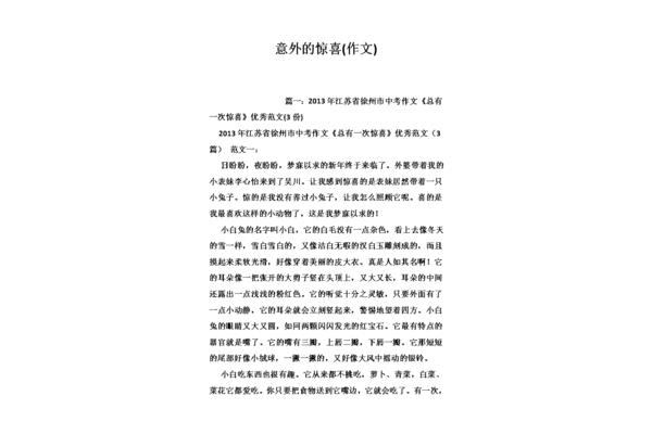 意外的惊喜作文