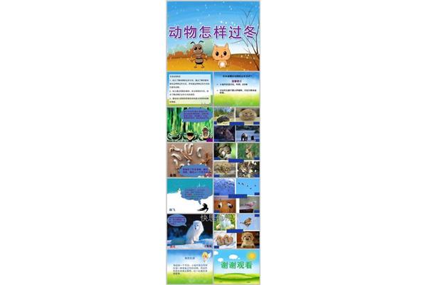 动物的过冬方式