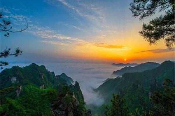什么山什么野
