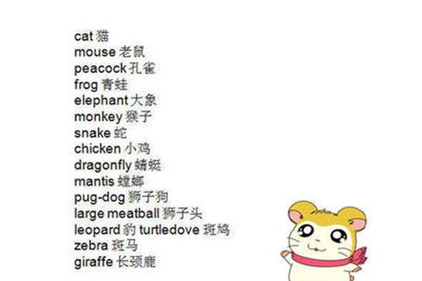 猴子的英文单词